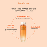 Sulwhasoo Concentrated Ginseng Rejuvenating Duo Set